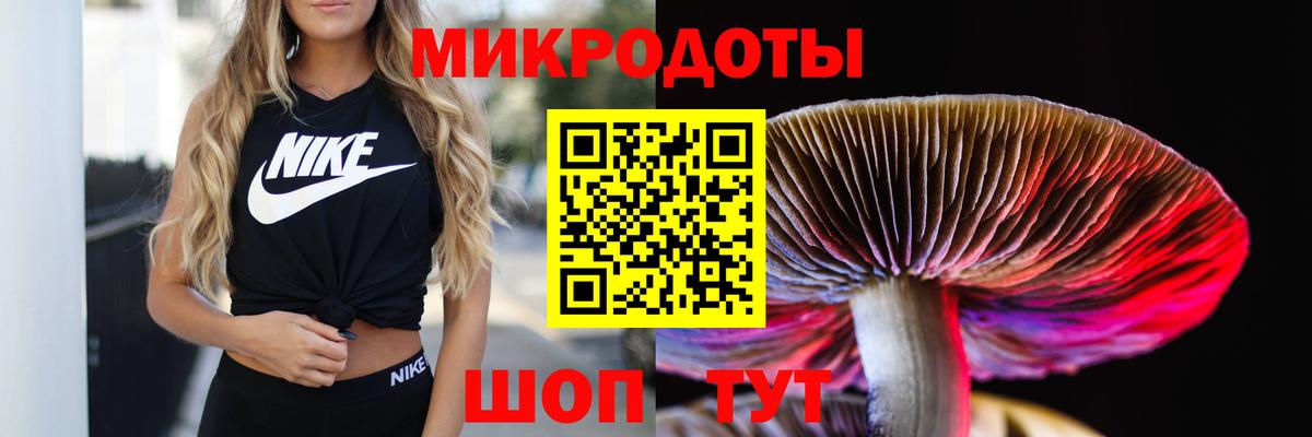 Галлюциногенные грибы прущие грибы Красногорск